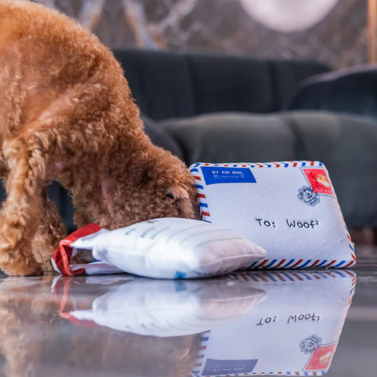 Woof² | 香港空郵信件藏食毛絨寵物玩具