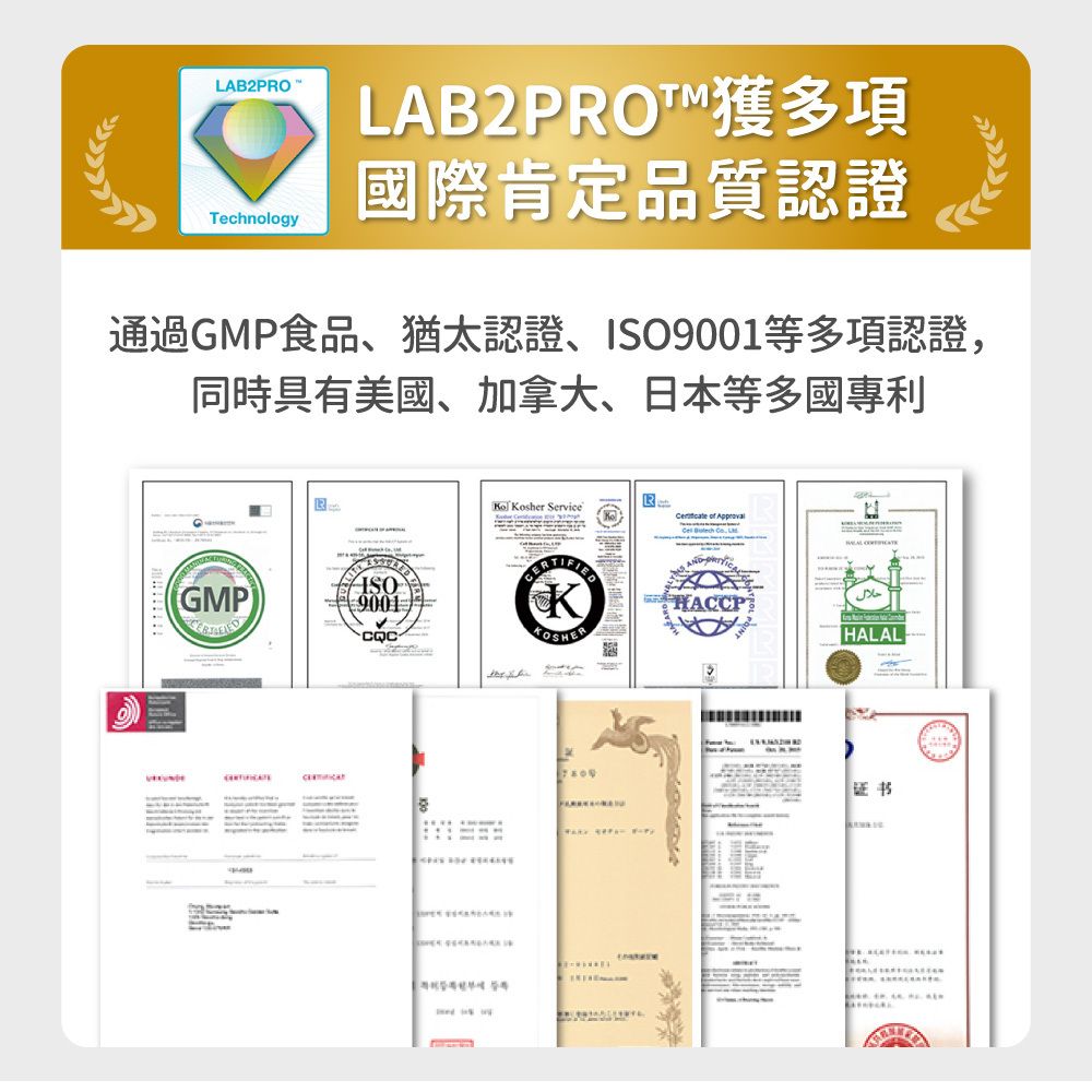 毛孩時代 腸胃專科益生菌 Probiiotics & Enzyme (30包/盒)