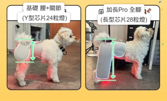 Cirius Pet LLLT Warm Cape 無線紅外線髖關節保養毯 基本款