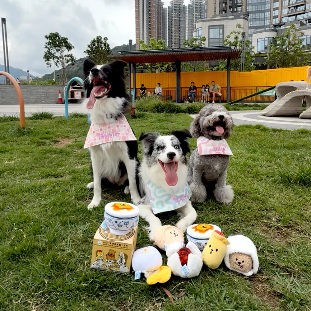Woof² 香港茶樓點心系列寵物玩具盲盒