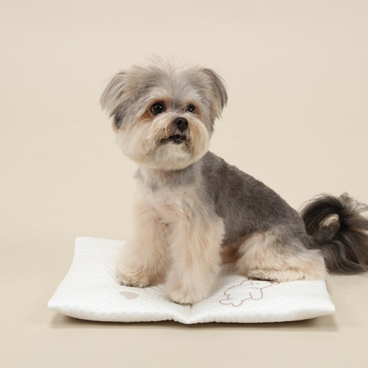 Ritogato Forpe Cooling Pouch 寵物保溫冰袋