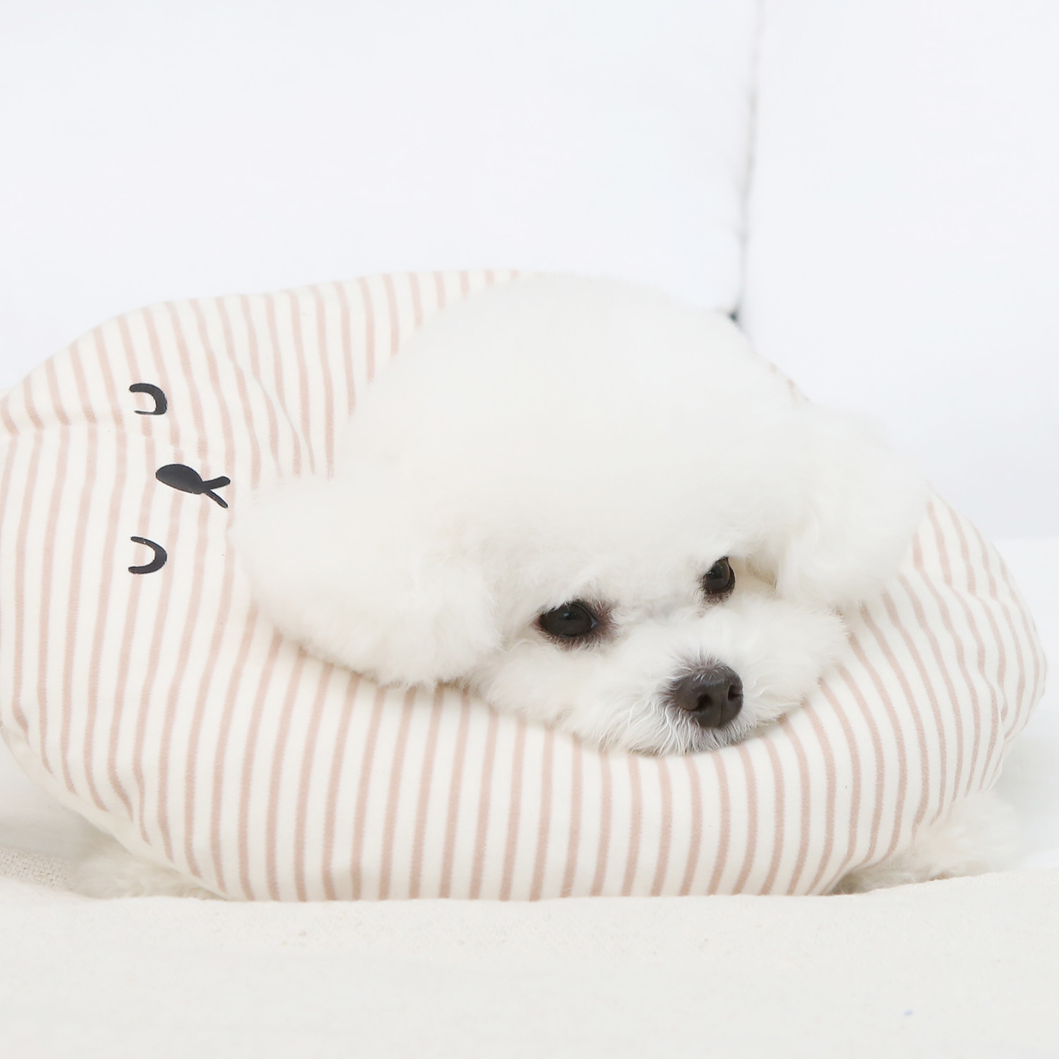 Ritogato 深層睡眠熊仔防舔咬頸圈 Deep Sleep Bear Organic Anti-bite Collar