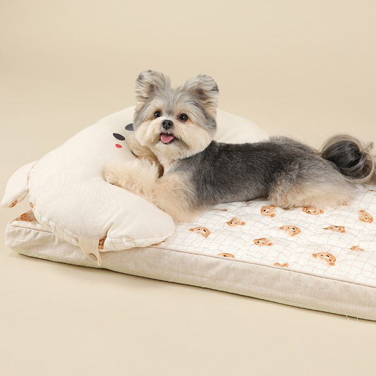 Ritogato Air-Coil氣墊涼感床連枕頭 Air-Coil Dog Cool Mat with Pillow (Check Bear)
