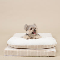 Ritogato Aircoil Forpe with Pillow 氣墊極涼感床連枕頭