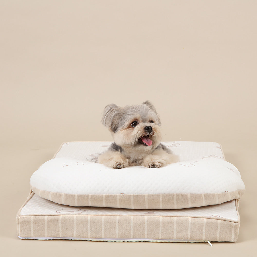 Ritogato Aircoil Forpe 氣墊極涼感床連枕頭 with Pillow