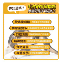毛孩時代 腎臟專科保健粉 Kidney Support (30包/盒)