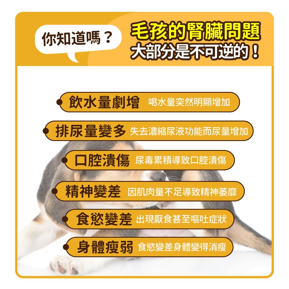 毛孩時代 腎臟專科保健粉 Kidney Support (30包/盒)