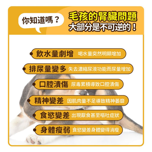 毛孩時代 腎臟專科保健粉 Kidney Support (30包/盒)