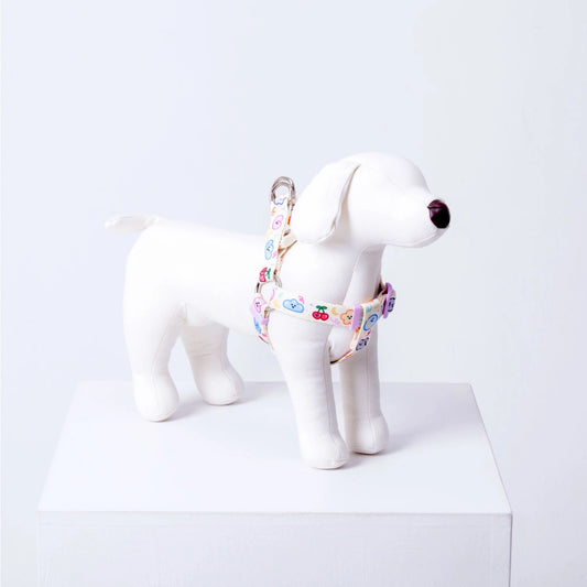 IMSUSU 車厘子Y型胸背帶 Malrang Y Harness