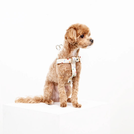 IMSUSU 波點Y型胸背帶 Terazzo Y Harness