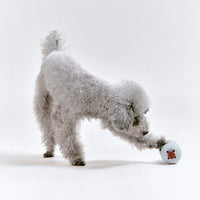 Roika 串燒益智藏食玩具 Dango Toy Misty Blue