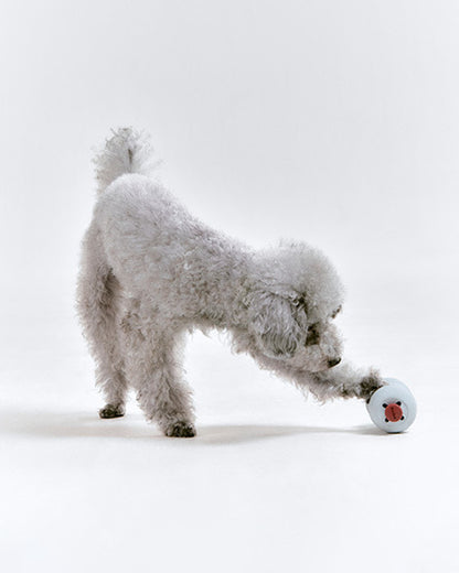 Roika 串燒益智藏食玩具 Dango Toy Misty Blue