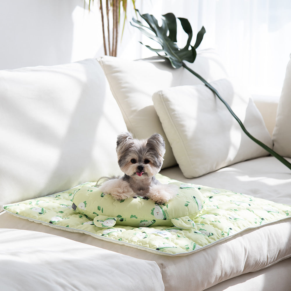 Ritogato 寵物防跣涼感墊 Non-slip Cool Mat (衝浪板熊)