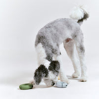 Roika 冬甩益智藏食玩具 GORI Toy Misty Blue