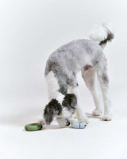 Roika 冬甩益智藏食玩具 GORI Toy Misty Blue