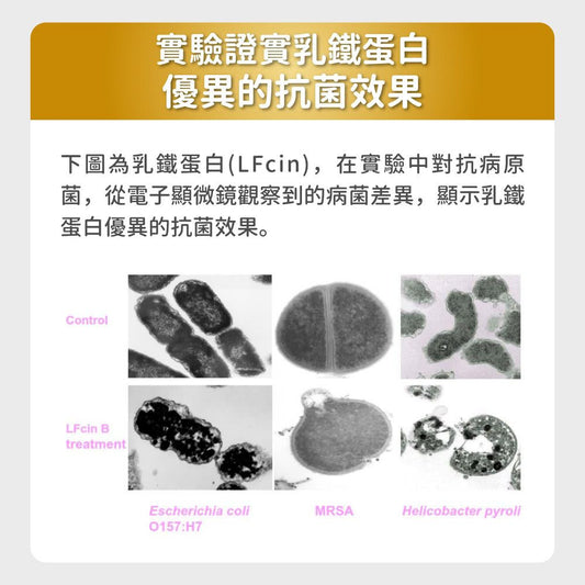 毛孩時代 免疫力平衡保健粉 Immune system support (30包/盒)