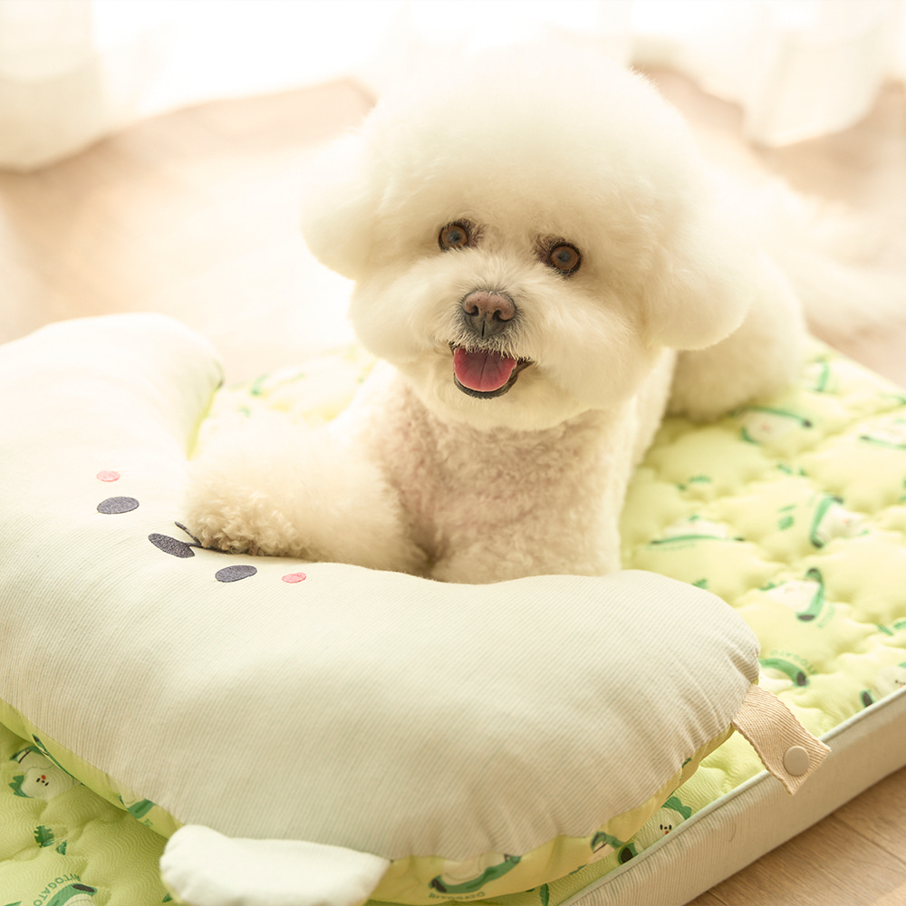 Ritogato Air-Coil氣墊涼感床連枕頭 Air-Coil Dog Cool Mat with Pillow (衝浪板熊)