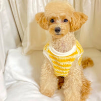韓國間條比熊啪樓抓絨背心 Bichon Stripe Fleece Vest