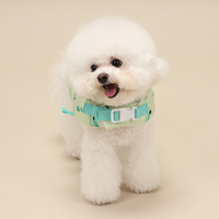 Ritogato 衝浪板寵物救生衣  Swing Heart Green Life Jacket