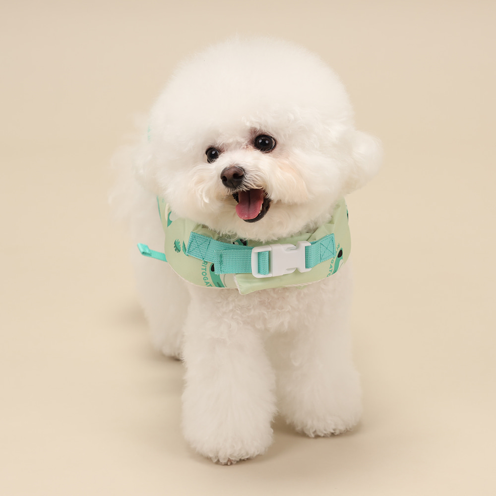 Ritogato 衝浪板寵物救生衣  Swing Heart Green Life Jacket