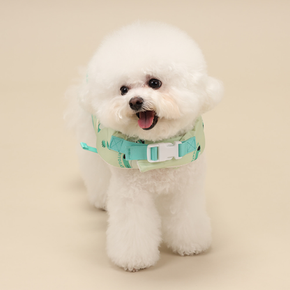 Ritogato 衝浪板寵物救生衣  Swing Heart Green Life Jacket