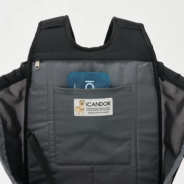 iCANDOR Snow Buddy 清涼凝膠