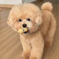 BITEME 花生乳膠玩具 Peanuts Latex Toy