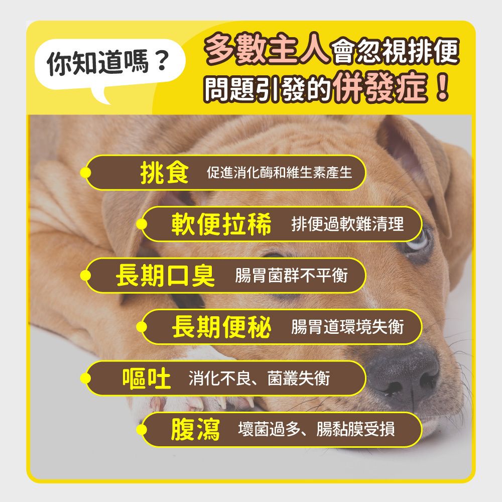 毛孩時代 腸胃專科益生菌 Probiiotics & Enzyme (30包/盒)