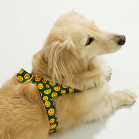 NORADOG 快穿式胸背帶 Easy Harness (S - 3XL)