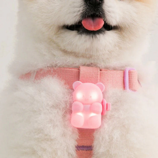 BITEME Jelly Bear Night Walk LED Light 熊仔燈