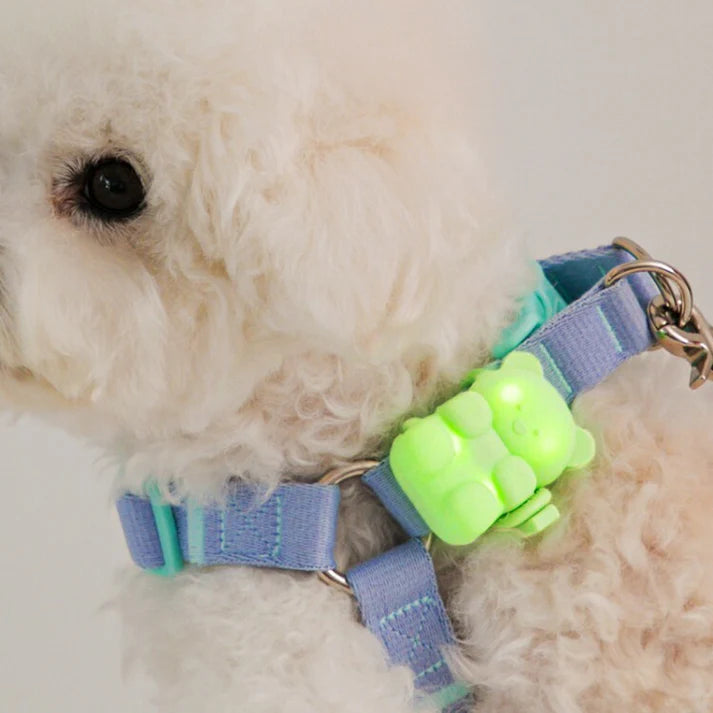 BITEME Jelly Bear 熊仔燈 Night Walk LED Light