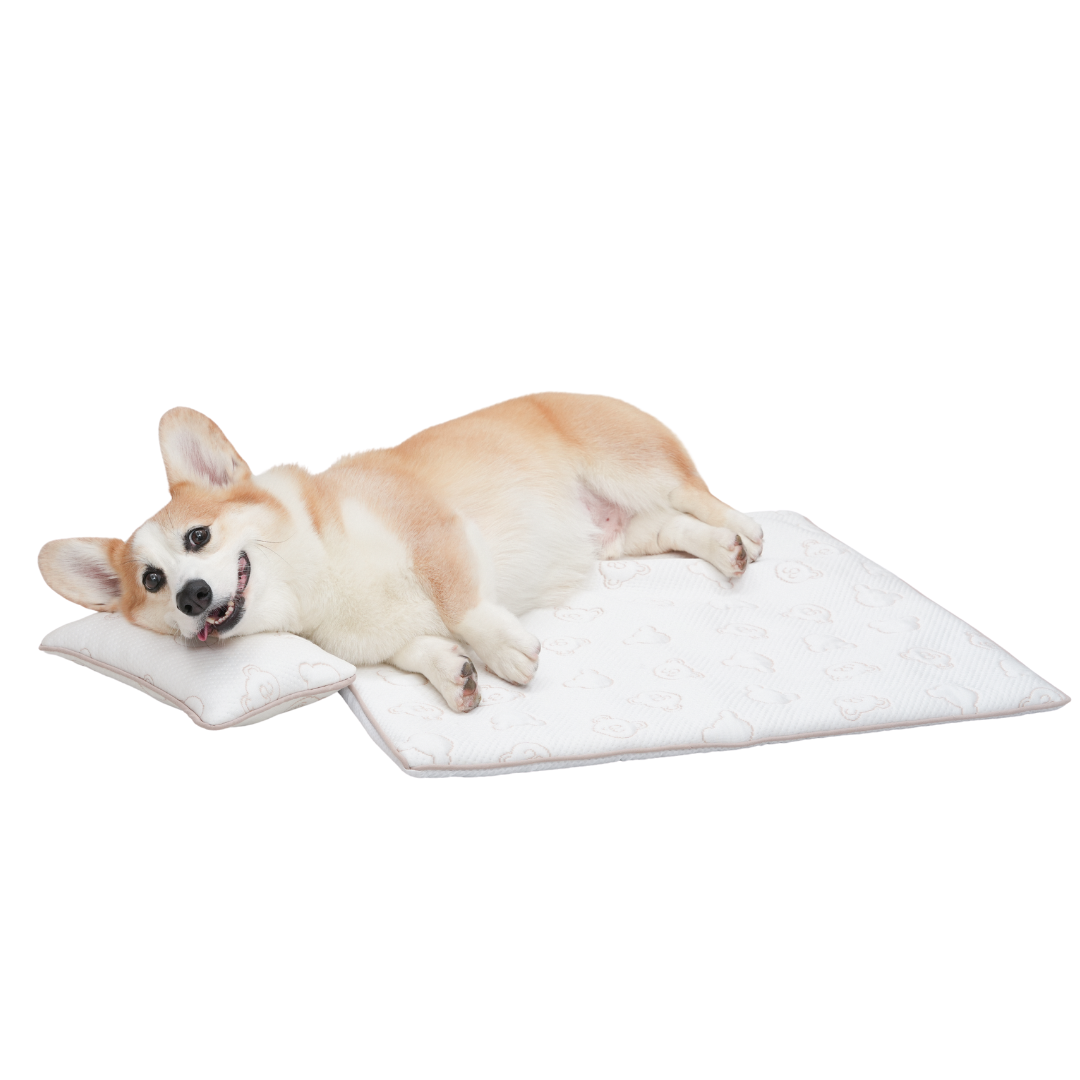 TeddyLand Ultimate cool mattress with pillow 極涼感床墊組合