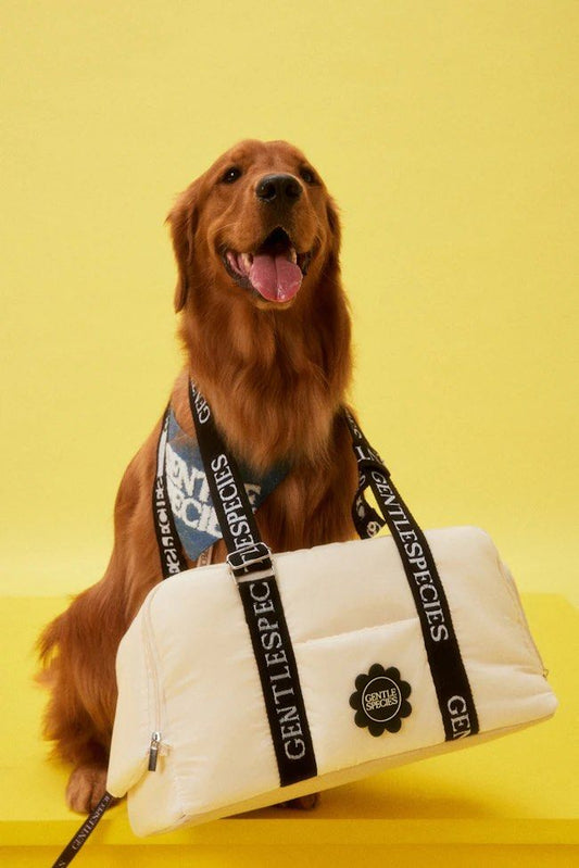 🇹🇭Gentlewoman Carry Me Please 寵物包