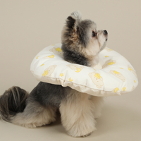 Ritogato 星星熊防舔咬頸圈  Star Bear Organic Anti-bite Collar