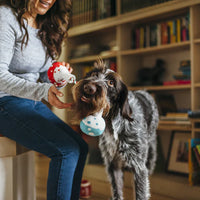 P.L.A.Y  實驗室燒杯發聲玩具 Barking Beakers