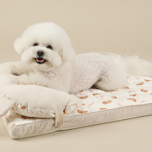 Ritogato Air-Coil氣墊涼感床連枕頭 Air-Coil Dog Cool Mat with Pillow (W Bear)