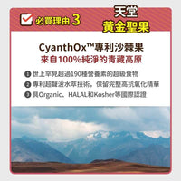 毛孩時代 心臟專科保健粉 Heart Supprt (30包/盒)