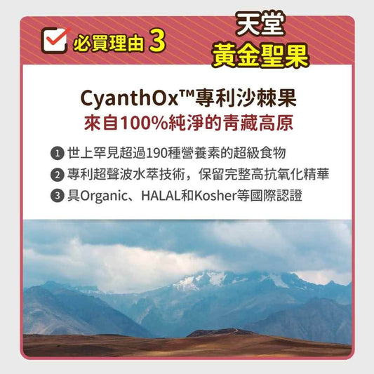 毛孩時代 心臟專科保健粉 Heart Supprt (30包/盒)