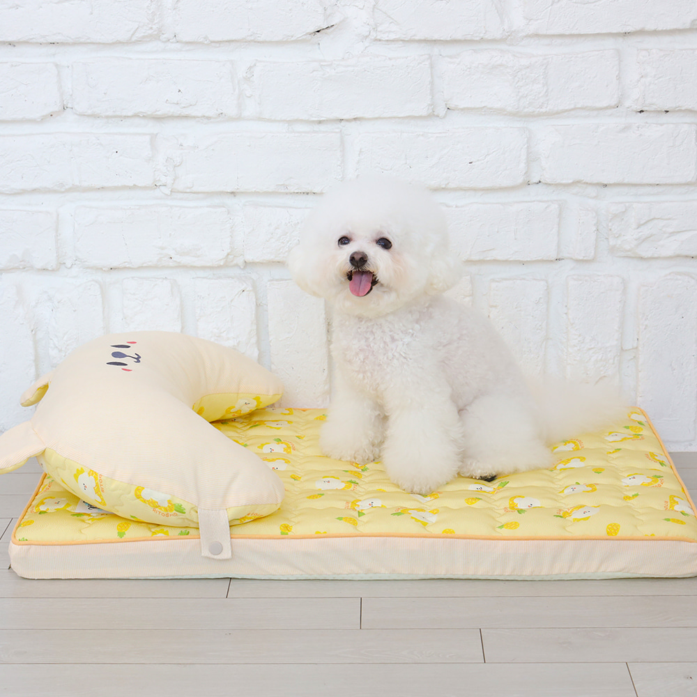 Ritogato Air-Coil氣墊涼感床連枕頭 Air-Coil Dog Cool Mat with Pillow (菠蘿熊)