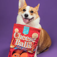 Cheese Ball Snuffle Toy 芝士波波藏食玩具 (狗狗版）