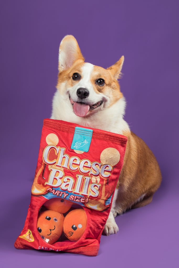 Cheese Ball Snuffle Toy 芝士波波藏食玩具 (狗狗版）