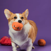 Cheese Ball Snuffle Toy 芝士波波藏食玩具 (狗狗版）