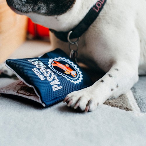 P.L.A.Y. Passport Toy 行李護照玩具