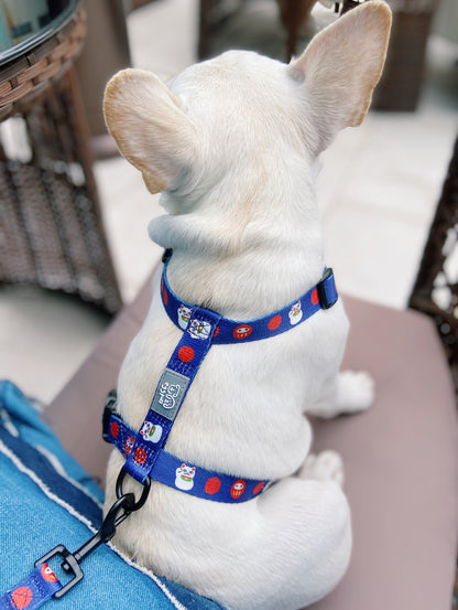 EGGPUFF Esssential Harness H型 胸背帶連牽繩 with leash