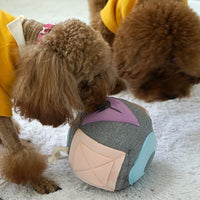 DEOPLLAE Snuffle Ball 骰仔聞嗅波