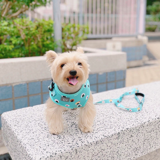 EGGPUFF Just Fit 胸背帶連牽繩 Harness with leash