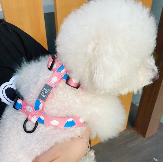 EGGPUFF Esssential Harness H型 胸背帶連牽繩 with leash