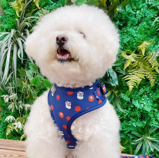 EGGPUFF Just Fit 胸背帶連牽繩 Harness with leash