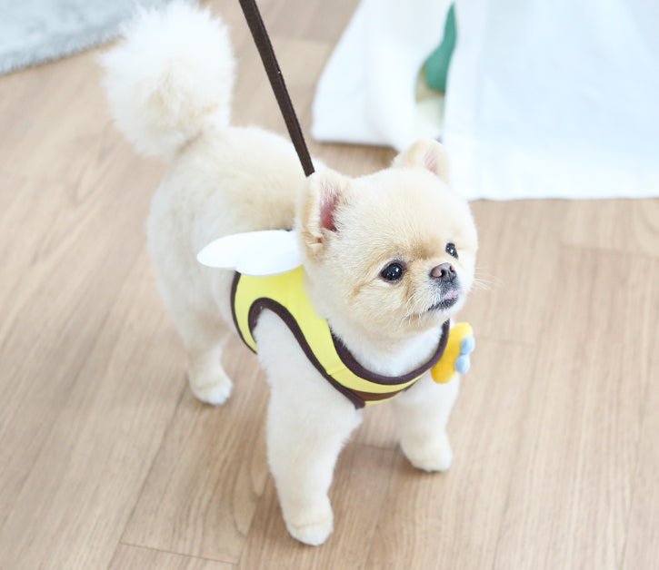 Itsdog 小蜜蜂胸帶 Bee harness