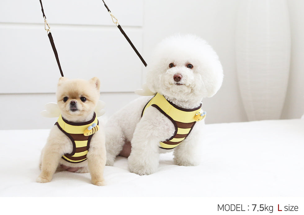 Itsdog 小蜜蜂胸帶 Bee harness